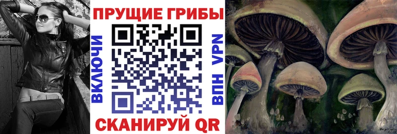 Галлюциногенные грибы мухоморы  Горно-Алтайск 